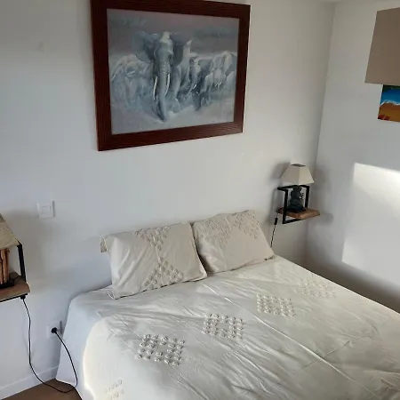 T2 Cosy Terrasse 13m2 Parking Gratuit * Bordeaux